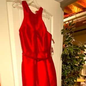 Gorgeous new one of a kind red satin dress.  This dress is red carpet ready!